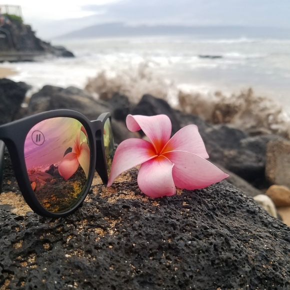 Meet your Posher Arielle! - Picture 4 of 8